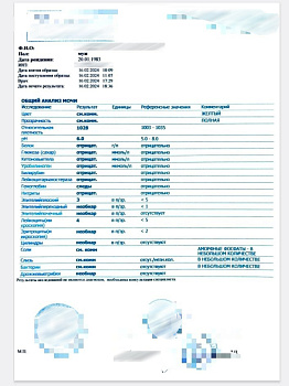 Общий анализ мочи (форма 210/у)